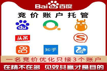 SEM竞价员实战案例分析：数据驱动决策